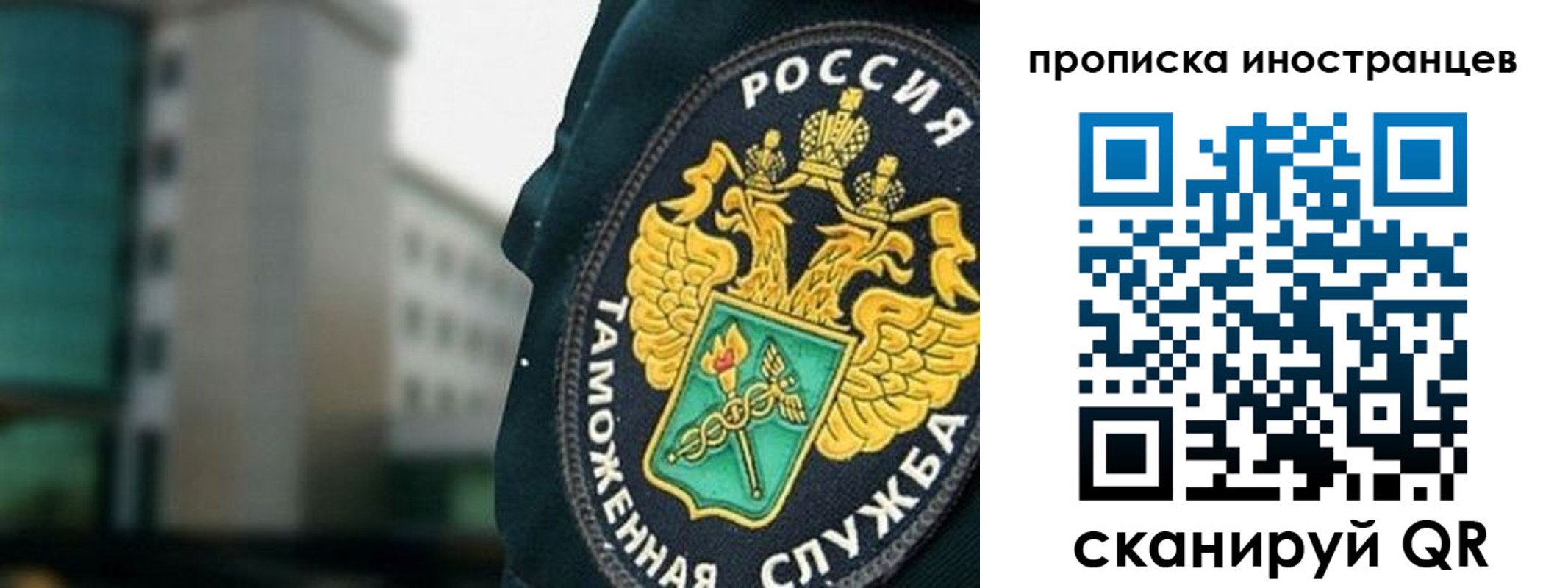 где прописаться в Бабаево